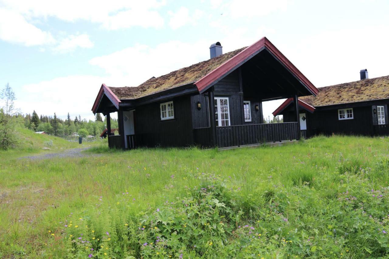 Gamlestolen Fjellstue Villa Etnedal Luaran gambar