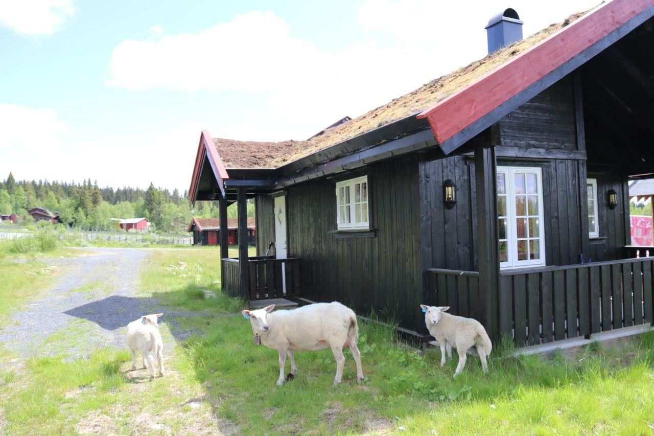 Gamlestolen Fjellstue Villa Etnedal Luaran gambar